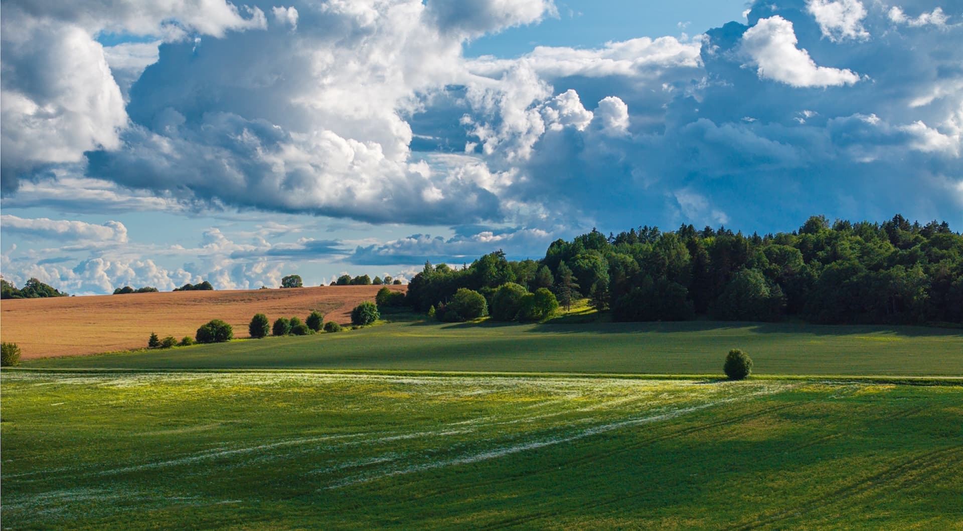 Eesti-Läti neljanda elektriühenduse riigi eriplaneeringu koostamine