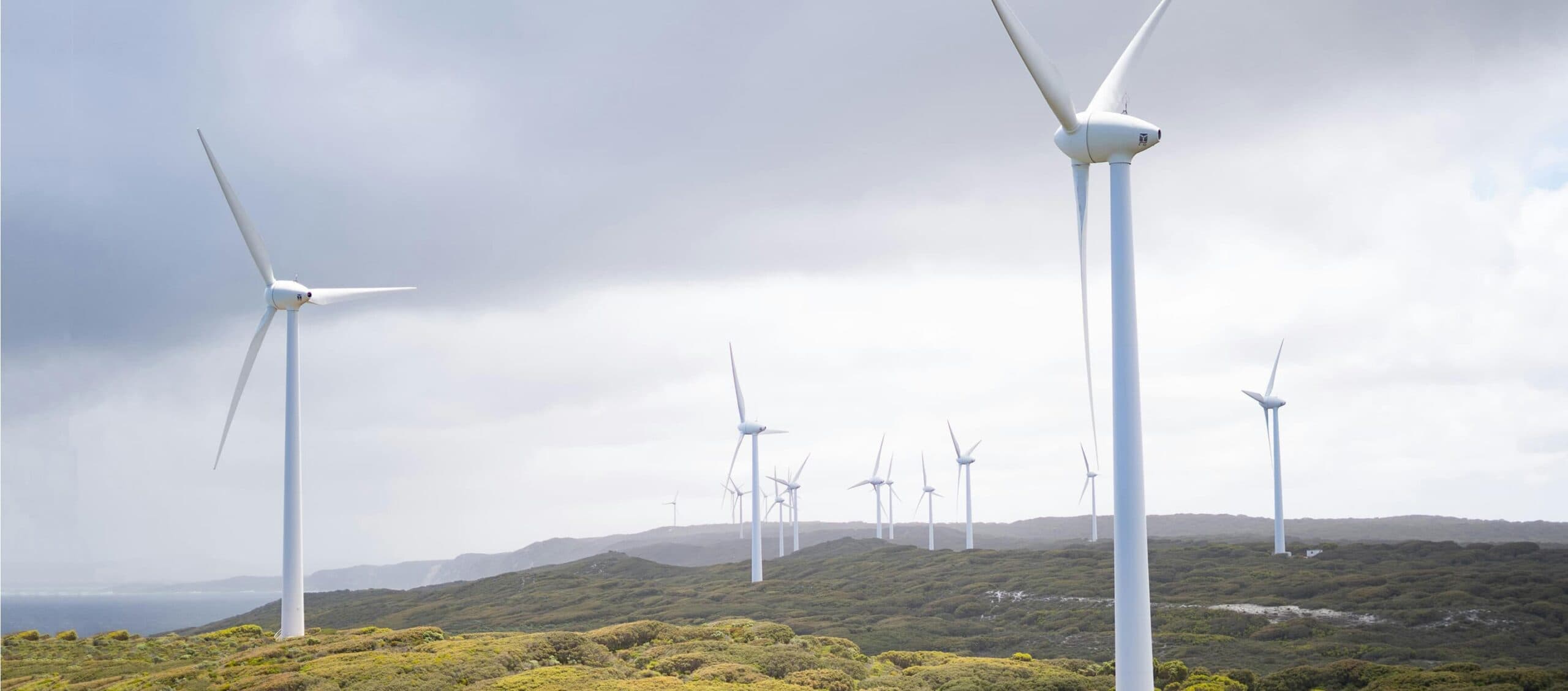 Subscribe to our newsletter