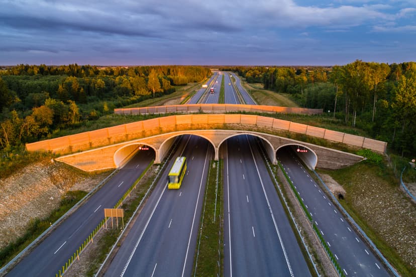 Sildade projekteerimine